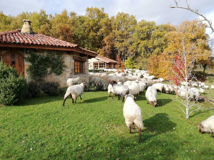 Guikuri Octogono Casa Rural 1, 2 Y 3Pax Villa Murua Екстериор снимка